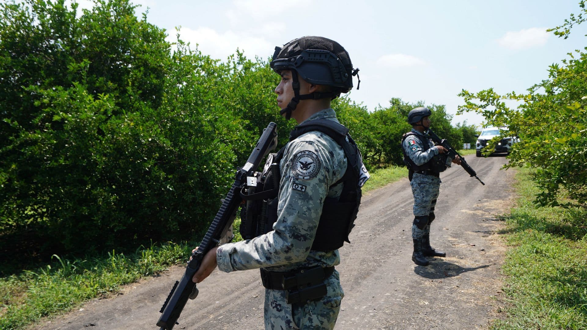 Elementos del Ejército y de la Guardia Nacional vigilan zona de limoneros, en Apatzingán, Michoacán