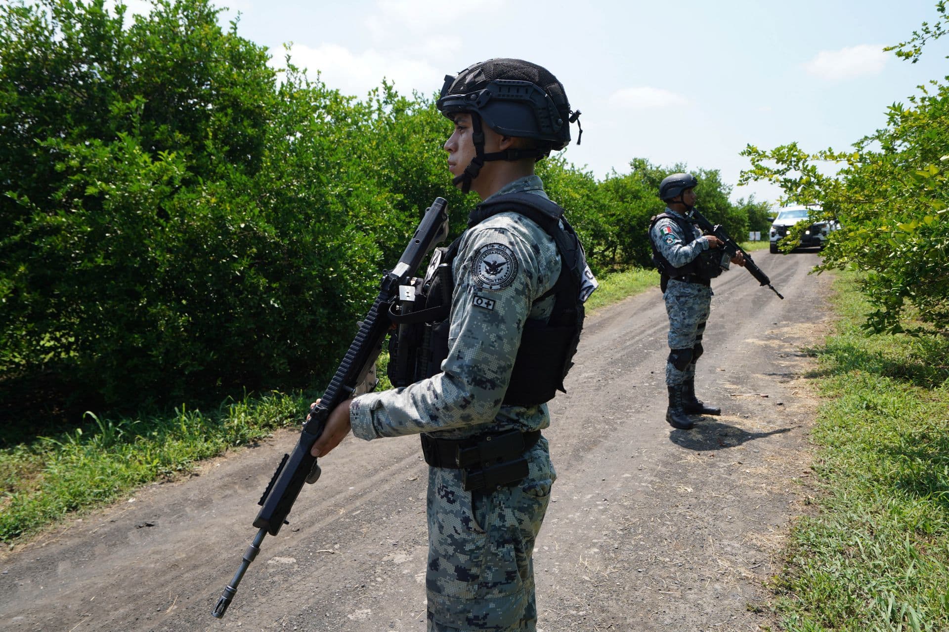Elementos del Ejército y de la Guardia Nacional vigilan zona de limoneros, en Apatzingán, Michoacán