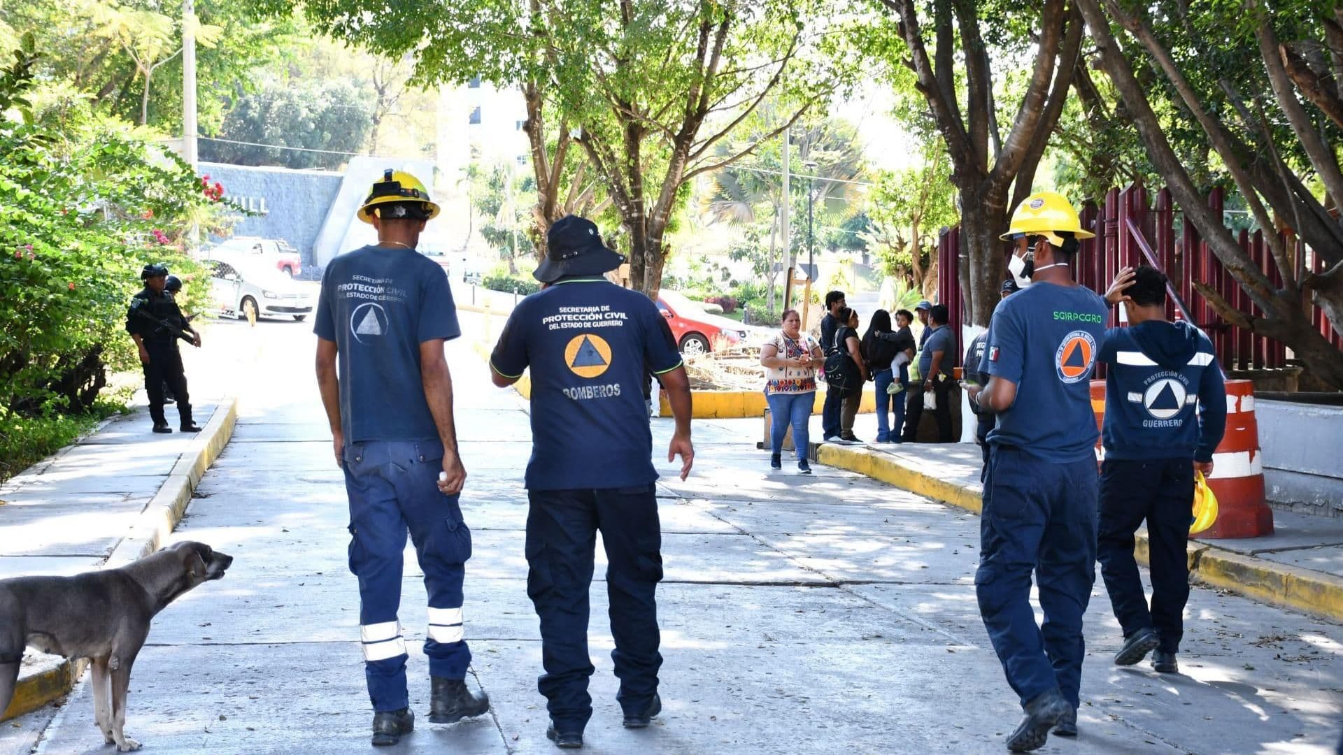 Sismo en Guerrero ocurrido en enero de 2026.