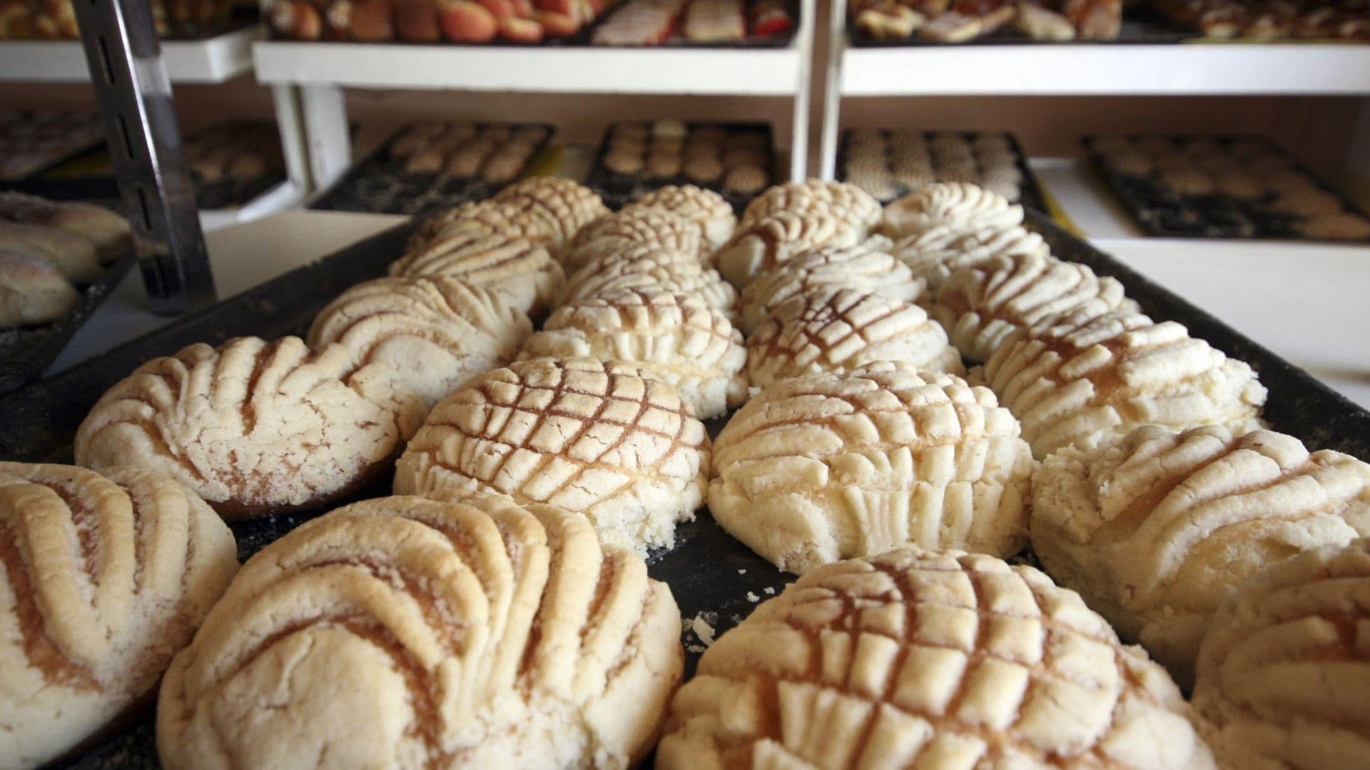 Una charola de conchas de azúcar en una panadería
