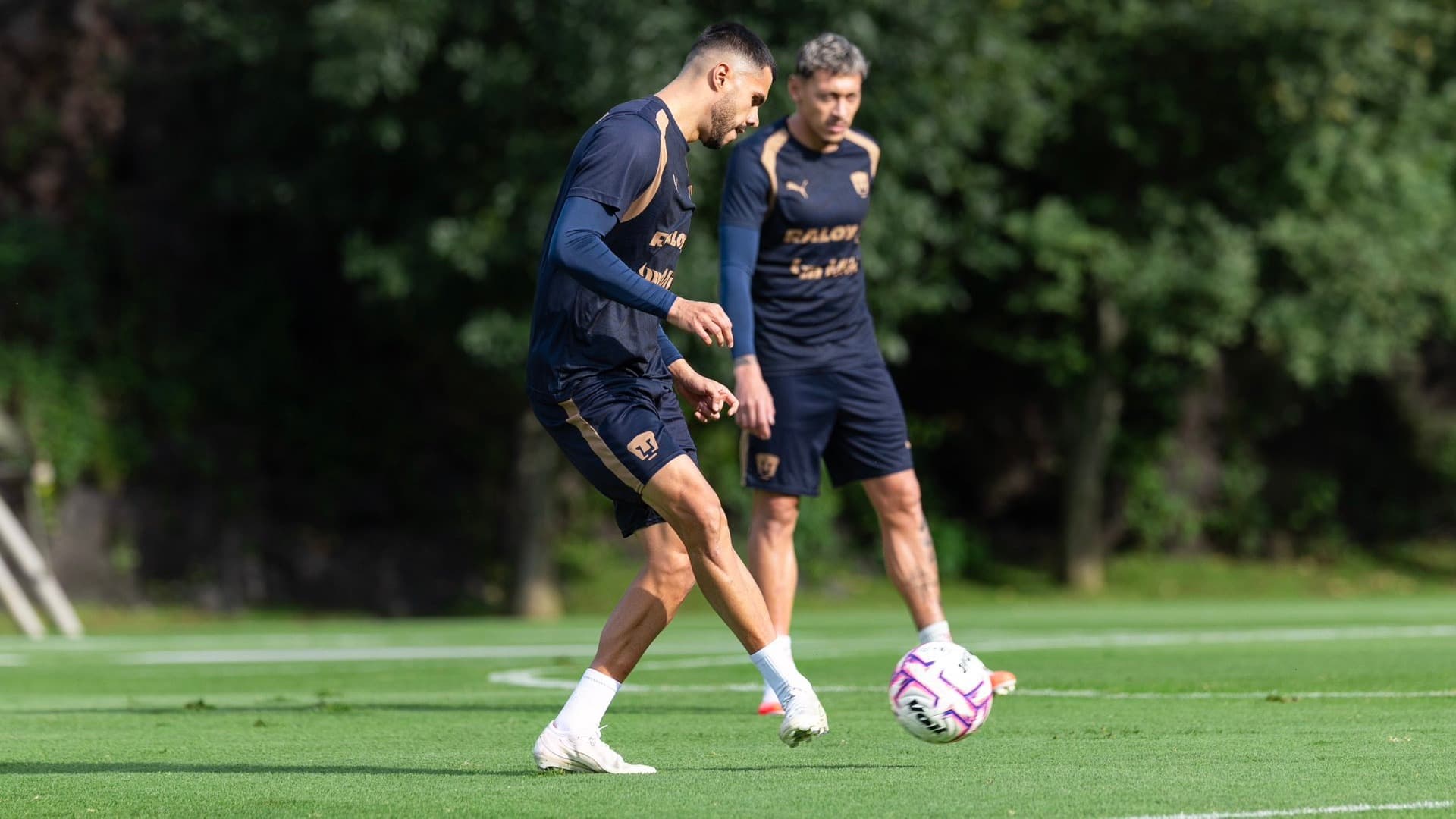 ¿Dónde Ver Gratis Pumas vs Tigres? Horario y Canal de Transmisión En Vivo del Partido de Liga MX