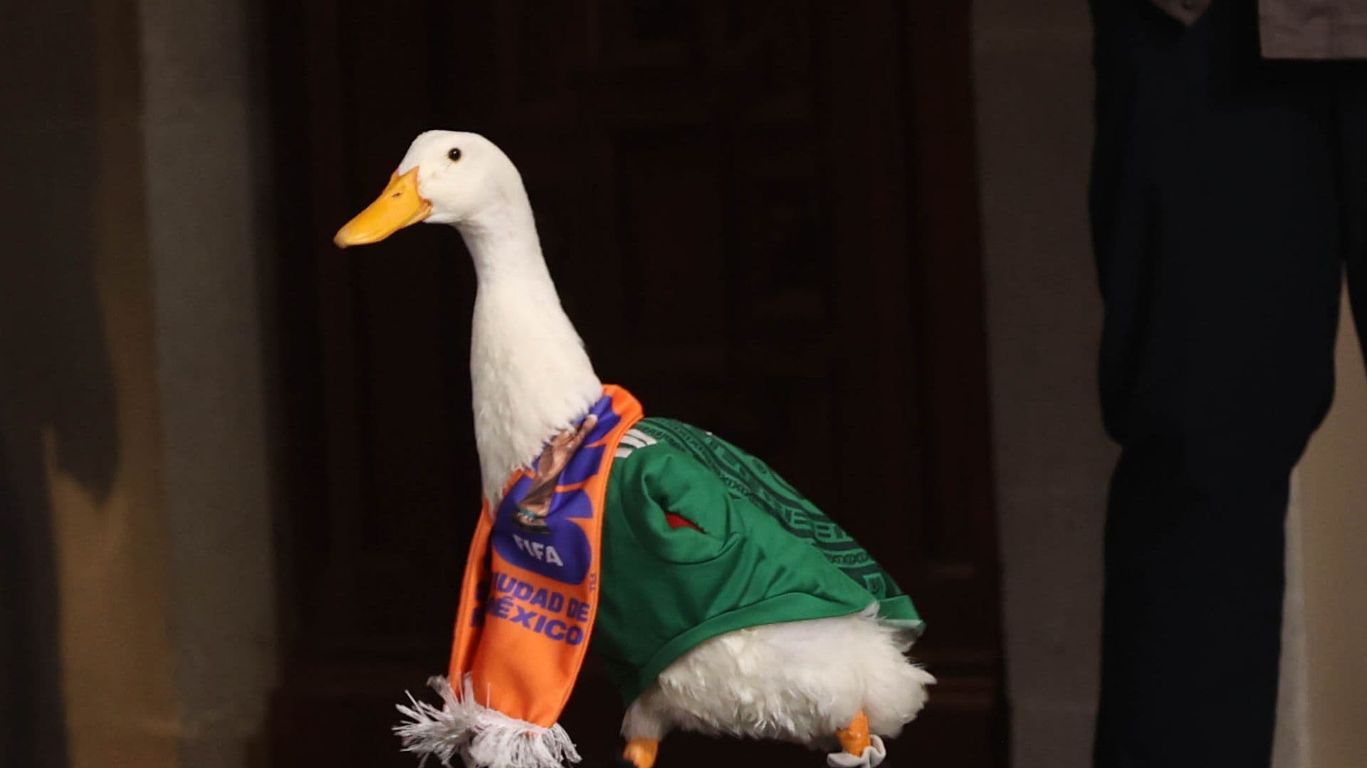 Pato Merlín en la conferencia mañanera de hoy, 22 de junio 2026