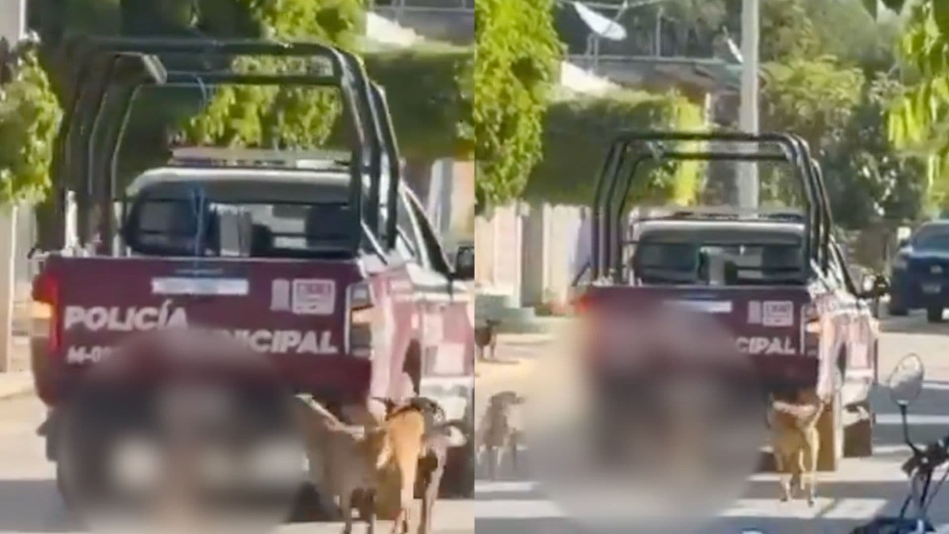 Captan a patrulla municipal de Puebla arrastrando a un perro.