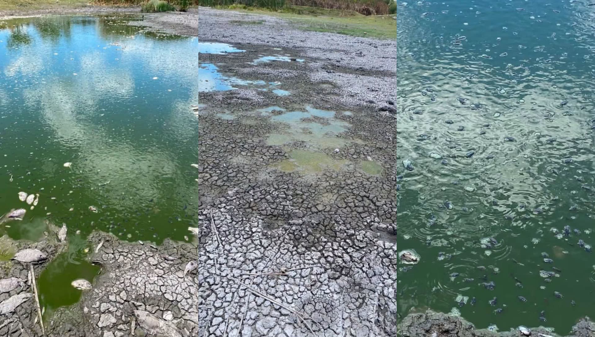 Esperan que con las lluvias el cuerpo de agua recupere su nivel.