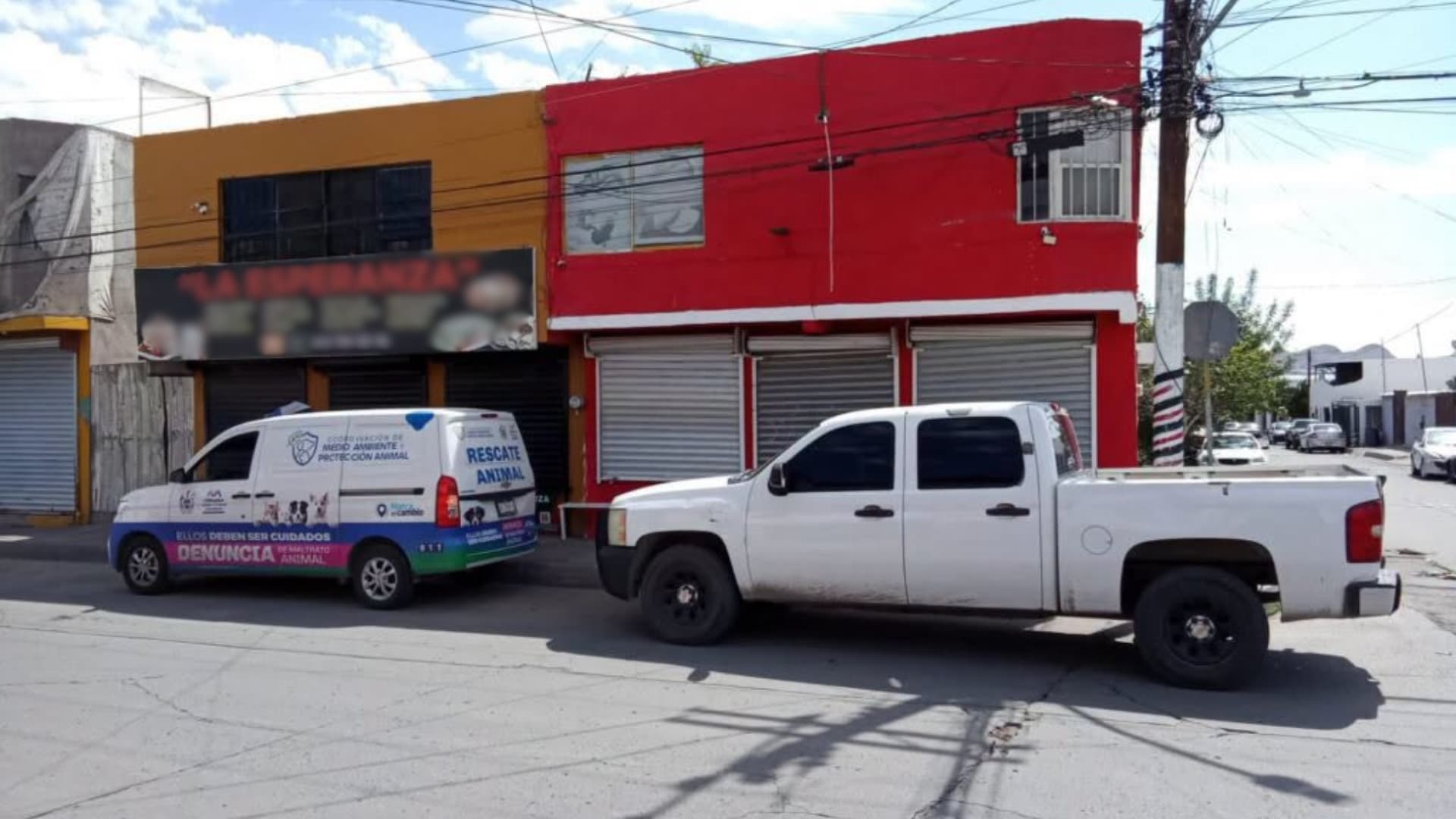 Se puso una multa por maltrato animal