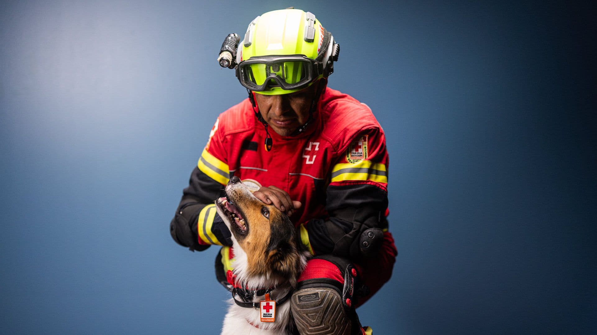 Perros rescatistas de la Cruz Roja