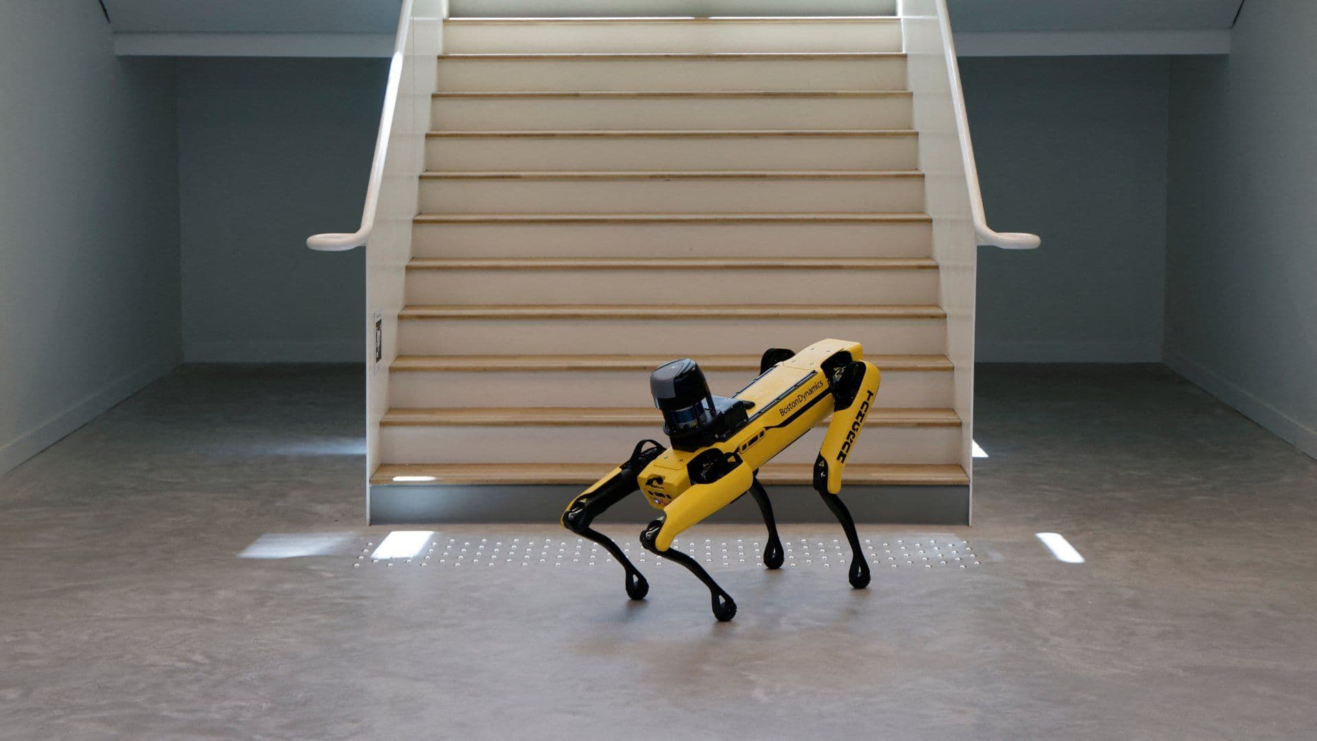 Perro robot