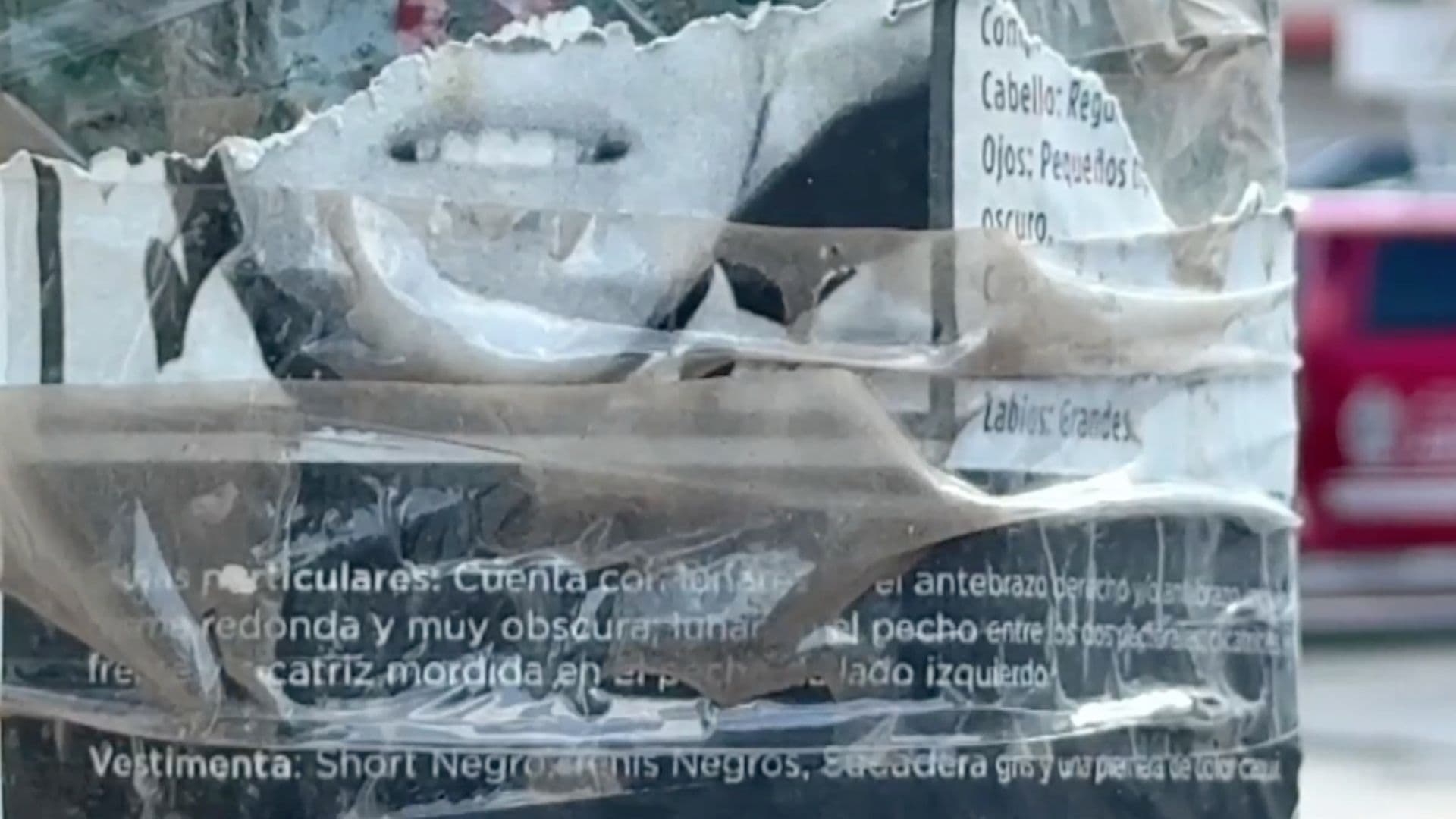 especialistas advierten que las desapariciones siguen siendo un reto