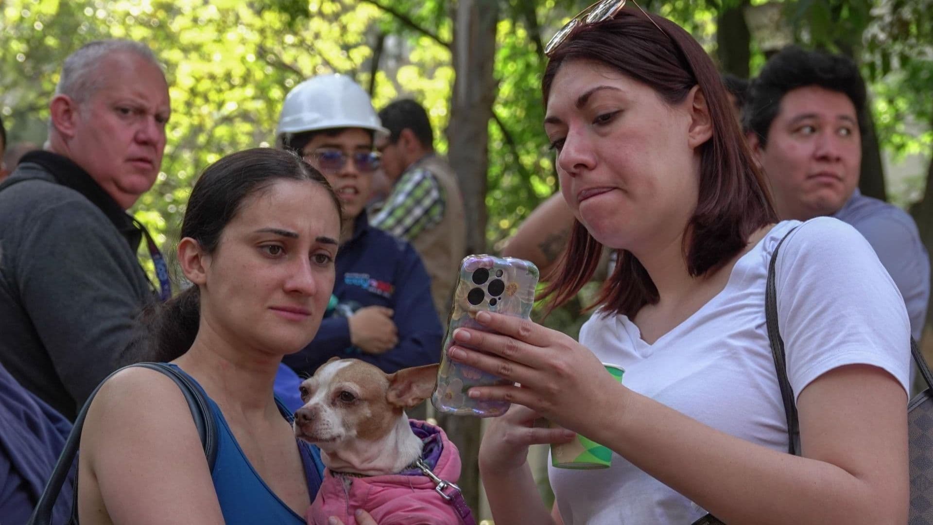 Mujeres revisando celular