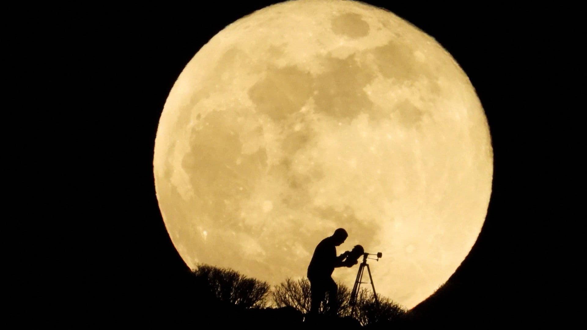 Personas con telescopio ante la Luna