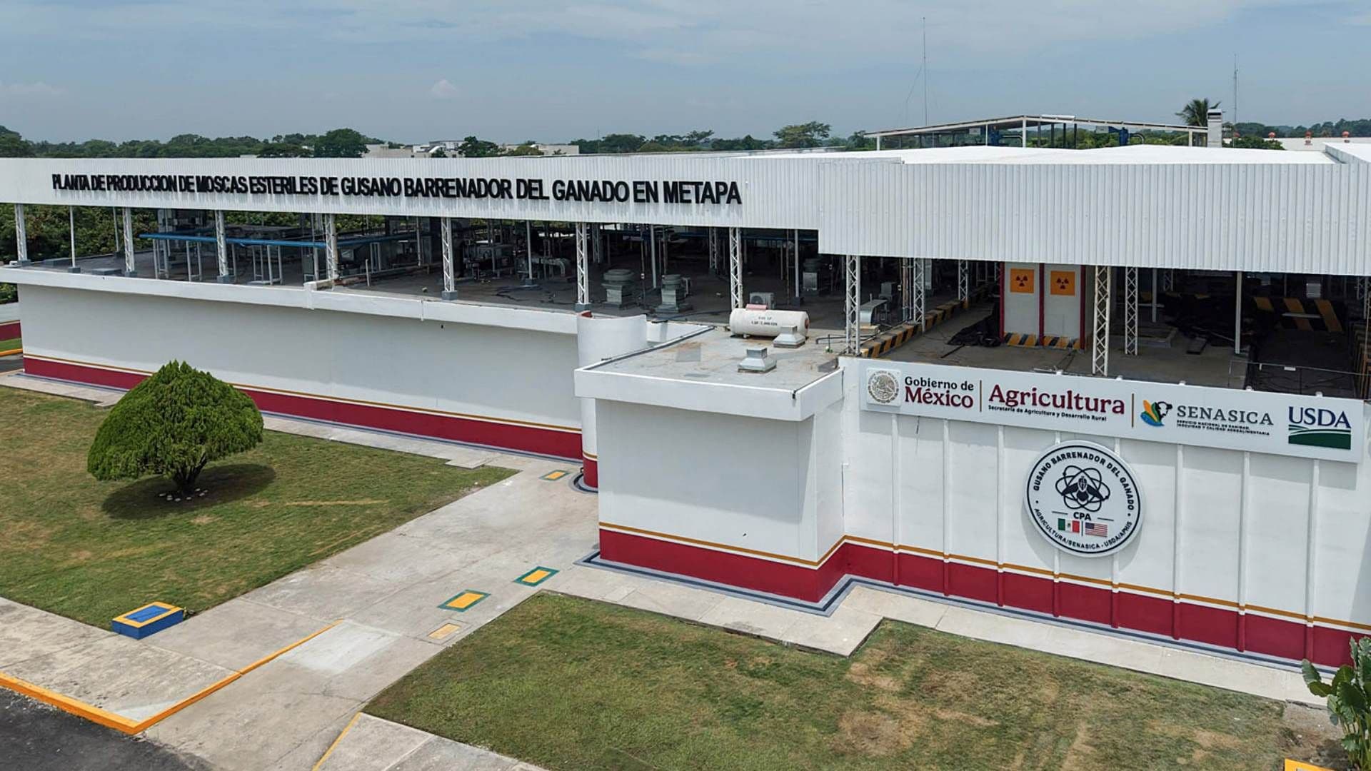 Inauguración de la planta de moscas estériles para combatir el gusano barrenador. Foto: Presidencia de la República