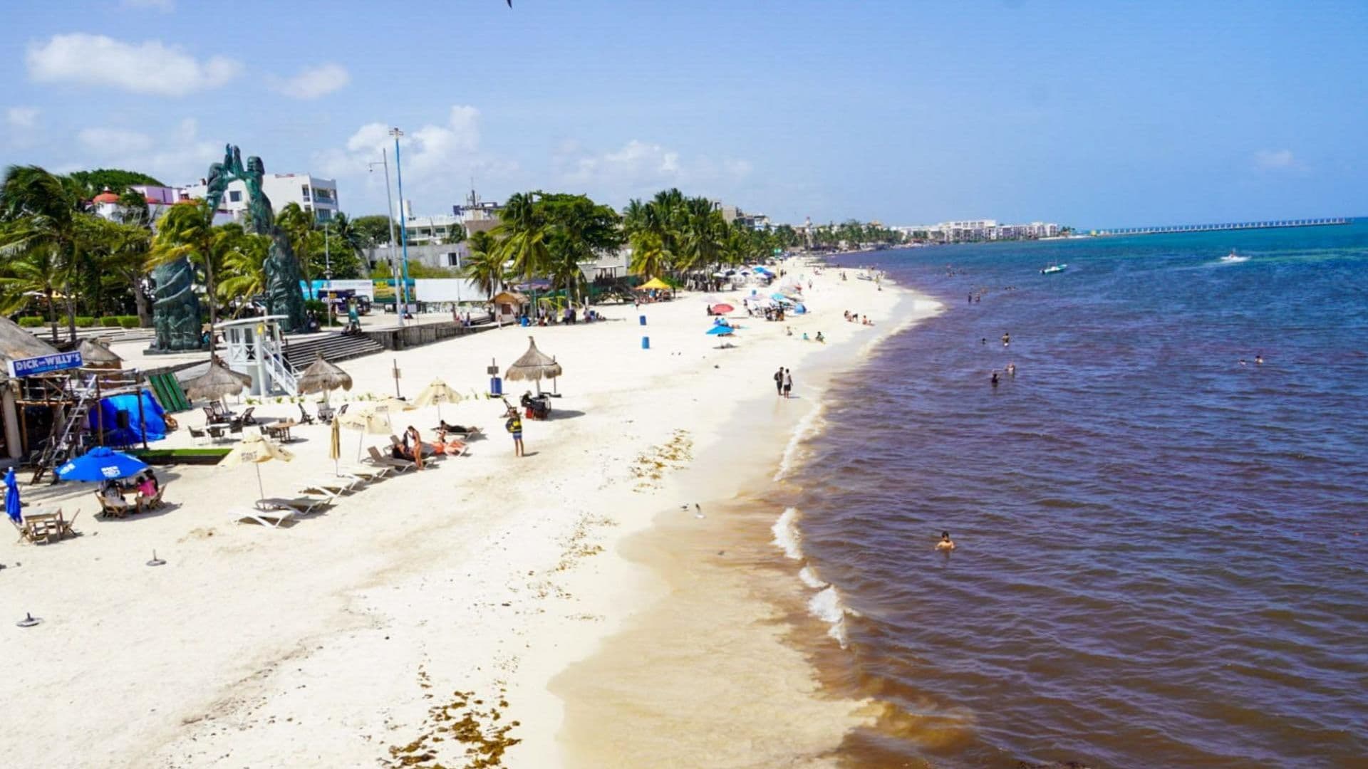 Bacteria comercarne se transmite en playas de baja salinidad