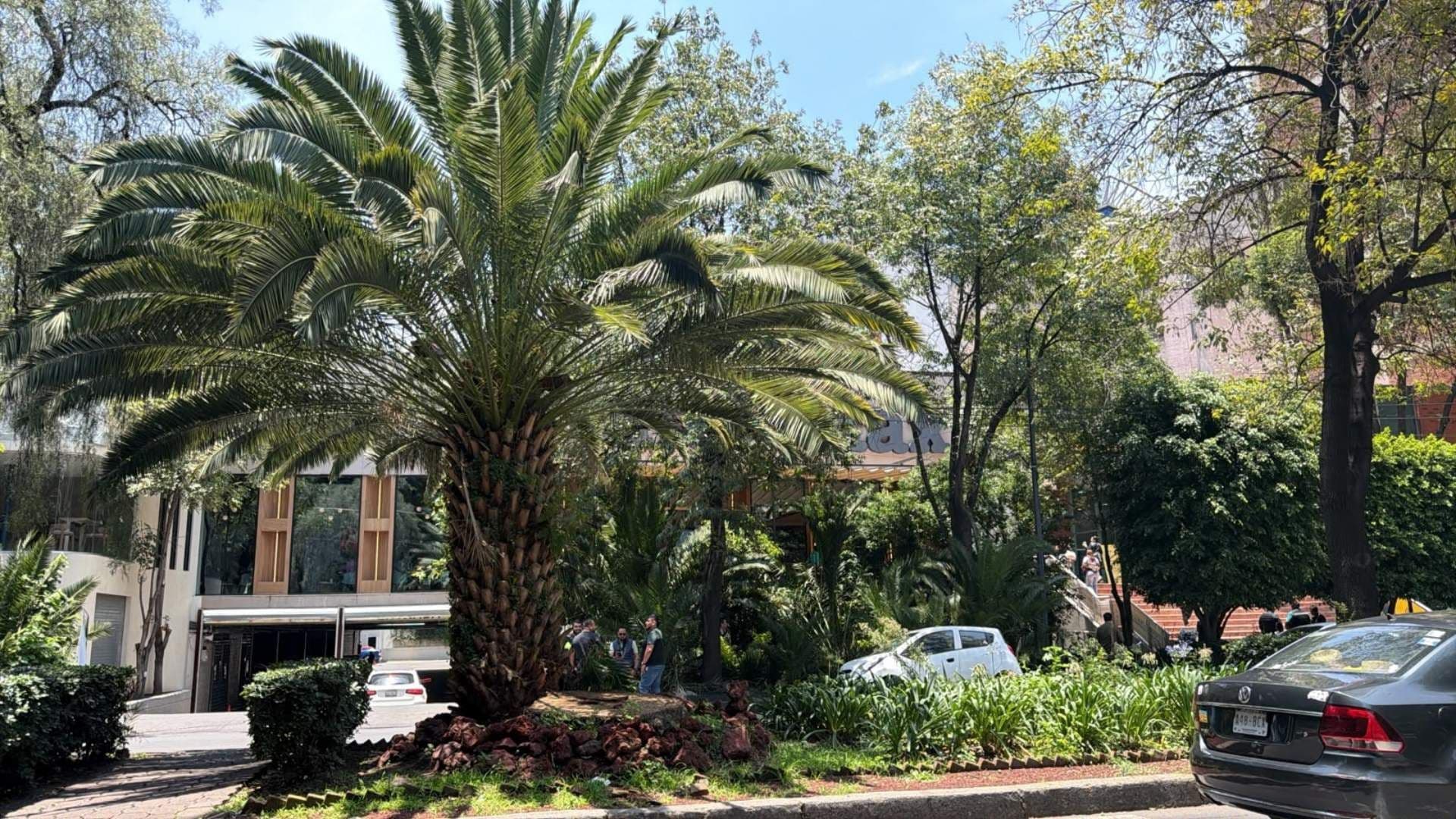 ¿Qué Pasó en Polanco Hoy? Reportan Disparos y Hombre Lesionado por Arma de Fuego