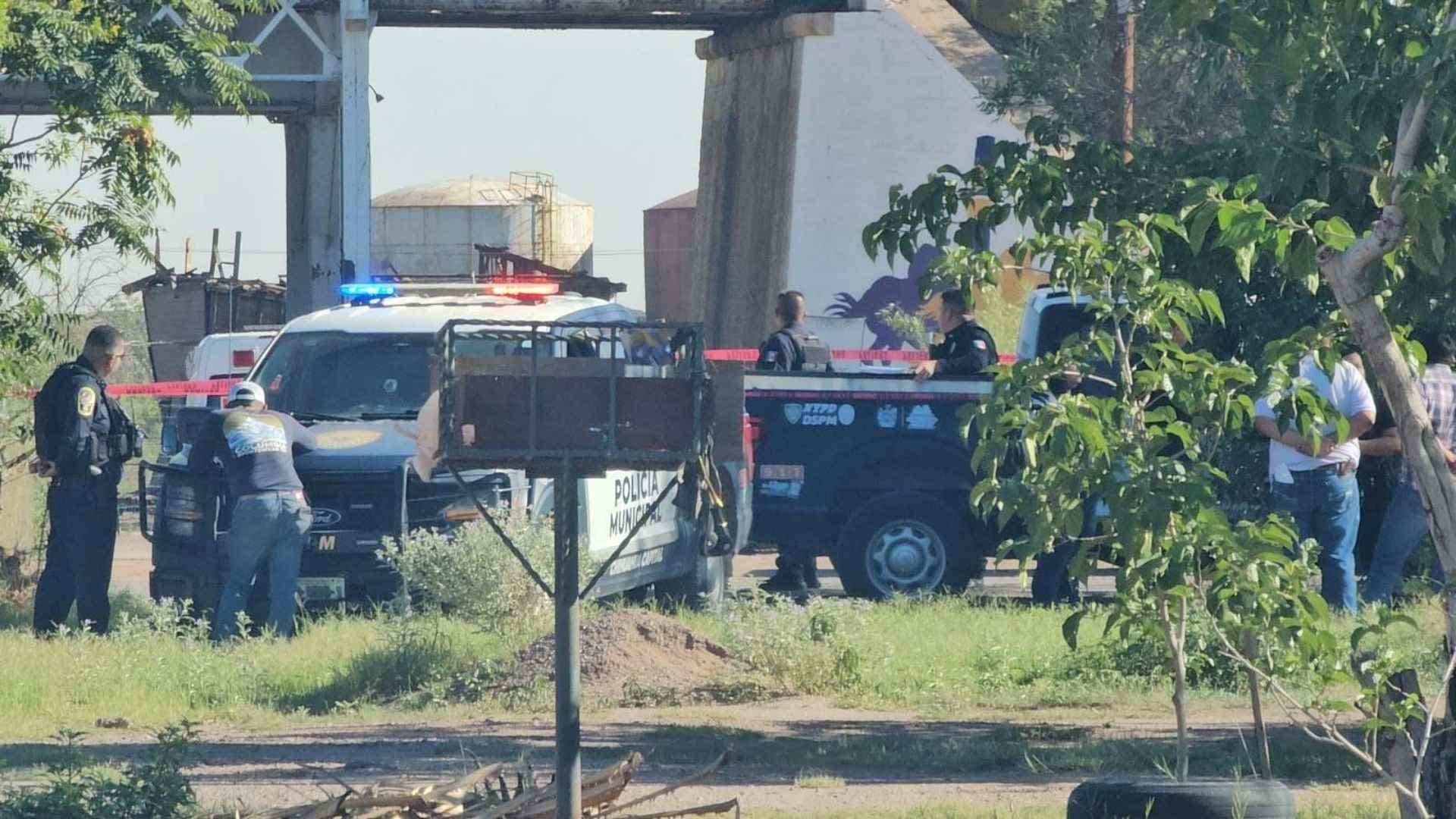 El Caballo fue Trasladado a una Clínica Veterinaria
