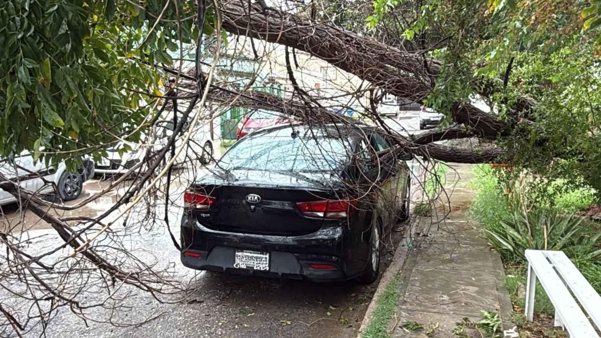 Lluvias Provocan Daños y Cierres Viales