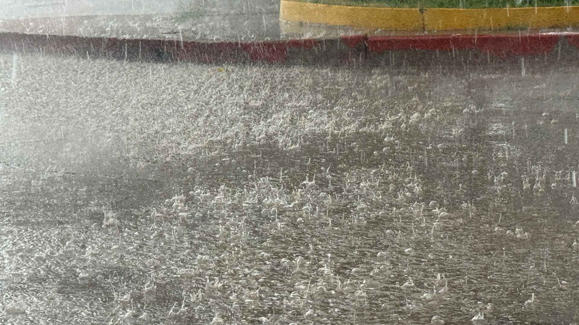 Suspenden clases de nivel básico y superior