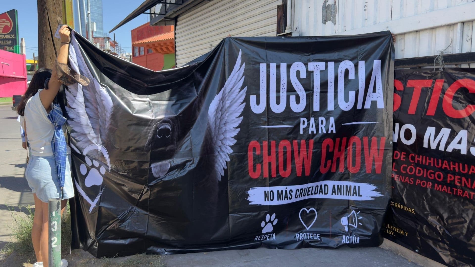 Exigen justicia por la muerte de Chow Chow