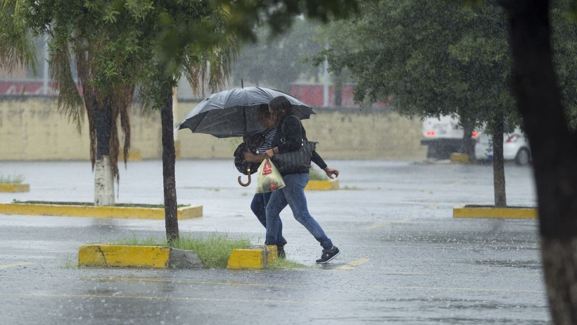 Lluvias en Monterrey, Nuevo León