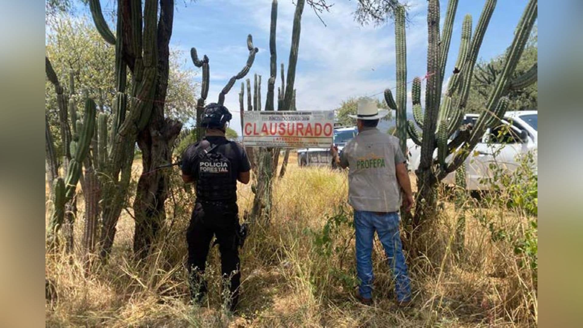 Predio Clausurado Cambio Uso Suelo sin Permiso Devastación Plantas Medio Ambiente Ajalpan Puebla