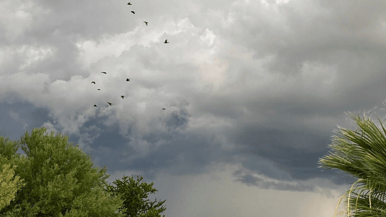 Pronóstico del Clima en Sonora: Lluvias Fuertes y Altas Temperaturas
