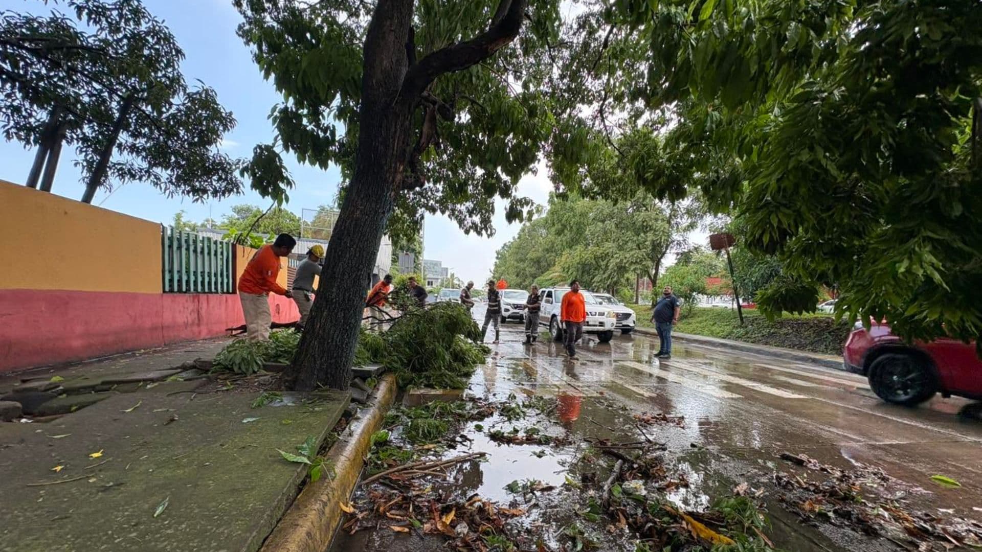 Elementos de Protección Civil de Tapachula retiran las ramas caídas sobre el asfalto