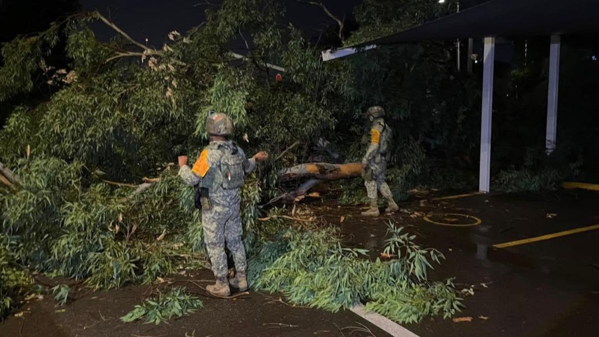 Elementos del Ejército mexicano resguardan la zona donde cayó un árbol en Culiacán, Sinaloa, debido a las lluvias