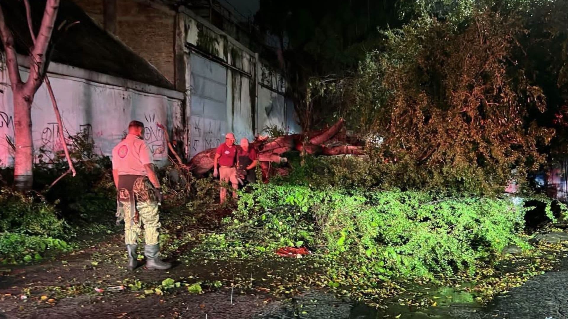 Elementos de Protección Civil de Tlaquepaque, en Jalisco, responden a una emergencia por árbol caído