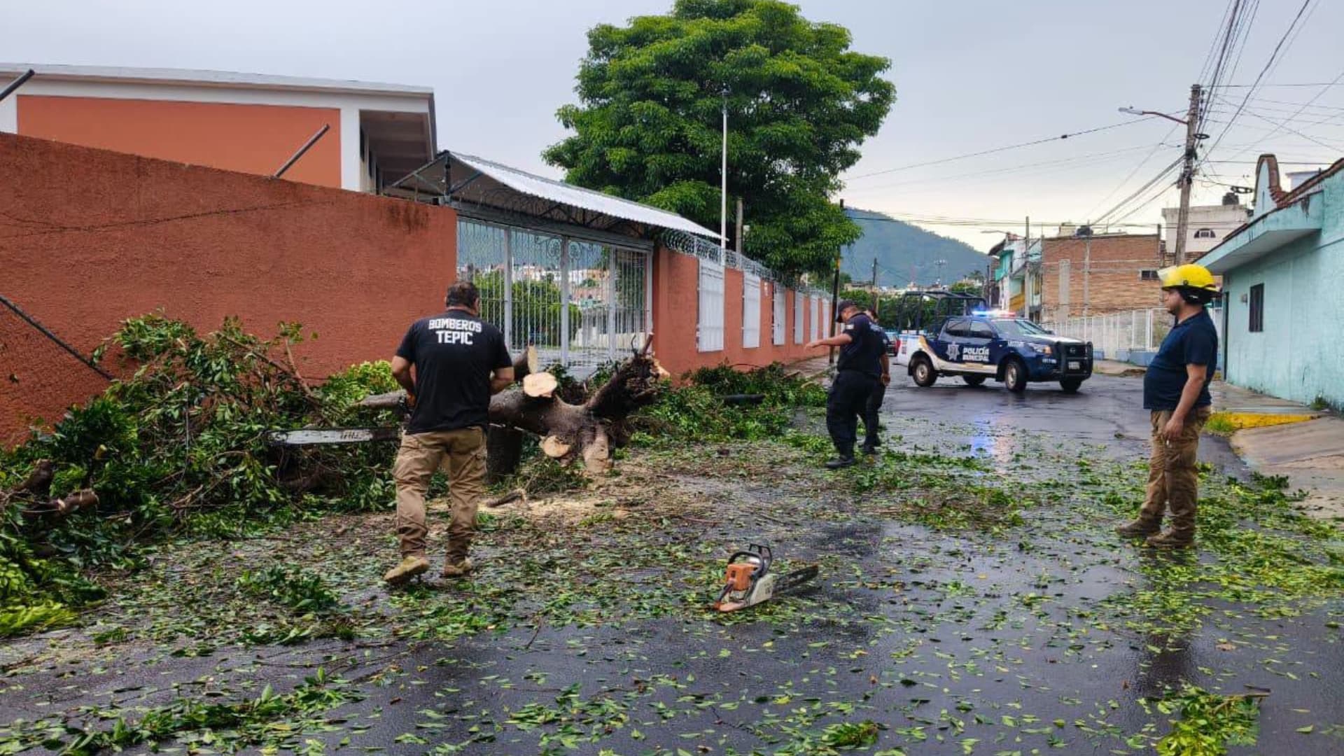 Elementos de Protección Civil de Tepic, Nayarit, atienden una emergencia por árbol caído