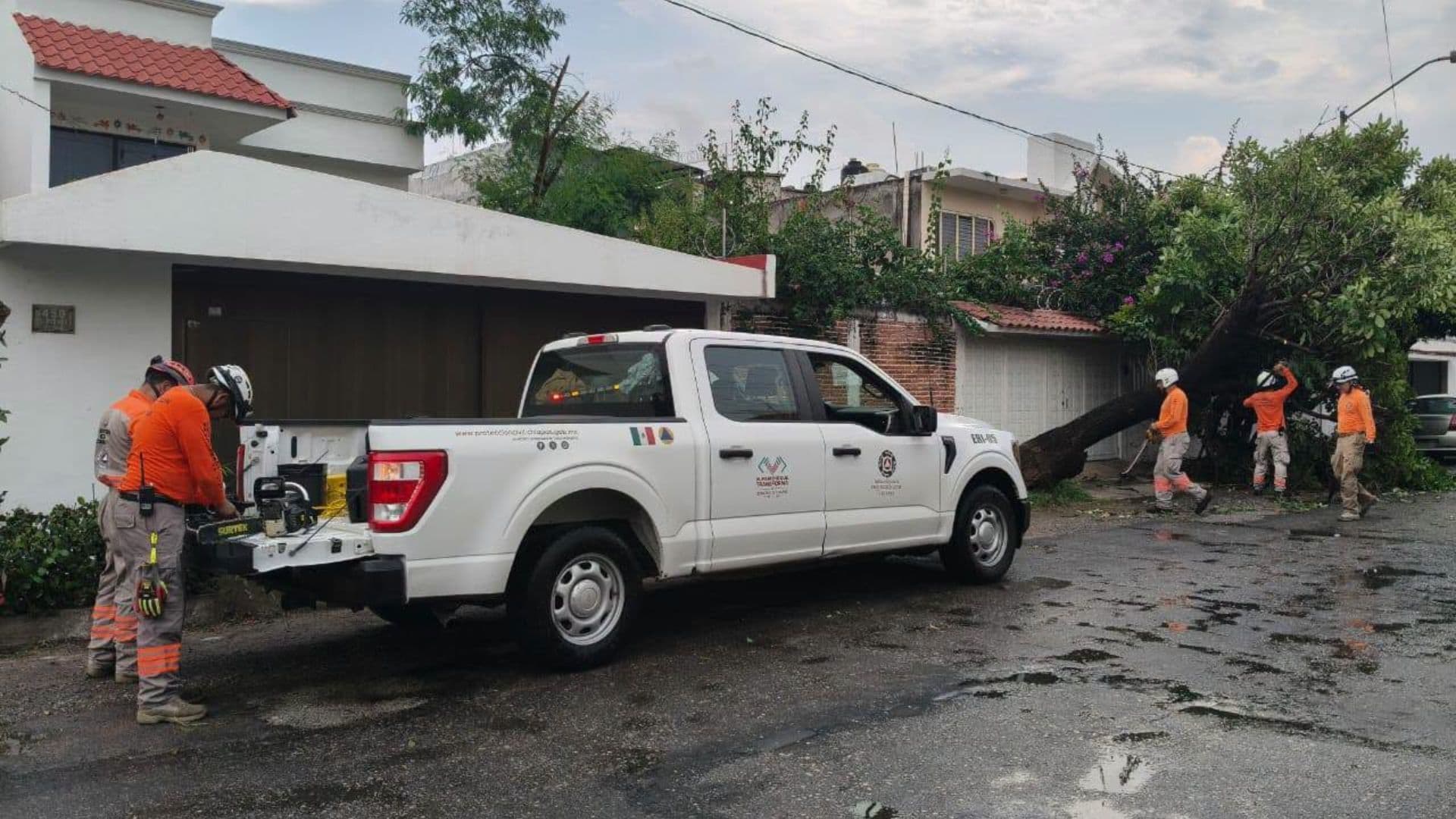 Elementos de Protección Civil de Chiapas retiran un árbol caído en Tuxtla Gutiérrez