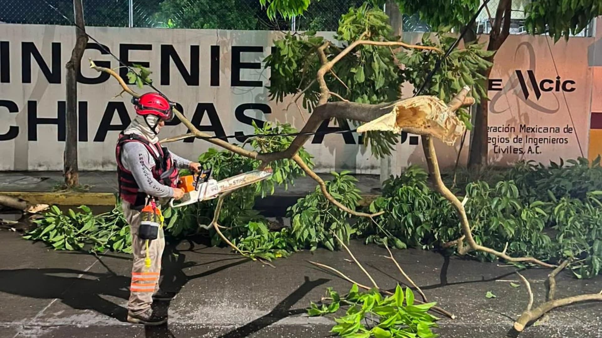 Se Esperan Lluvias en la Mayor Parte del País: Esta Es la Lista de las Entidades Más Afectadas