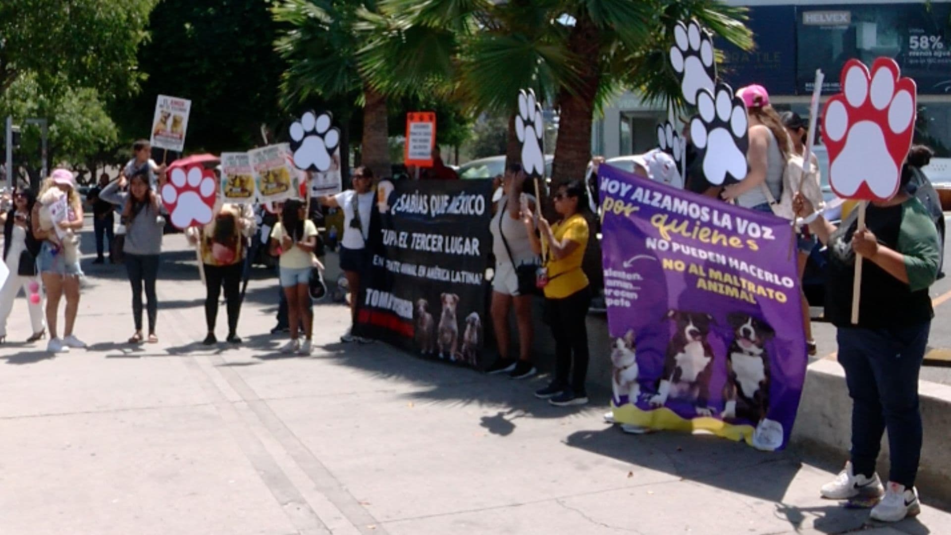 Animalistas Protestan en Tijuana por Dos Perros Dados en Adopción