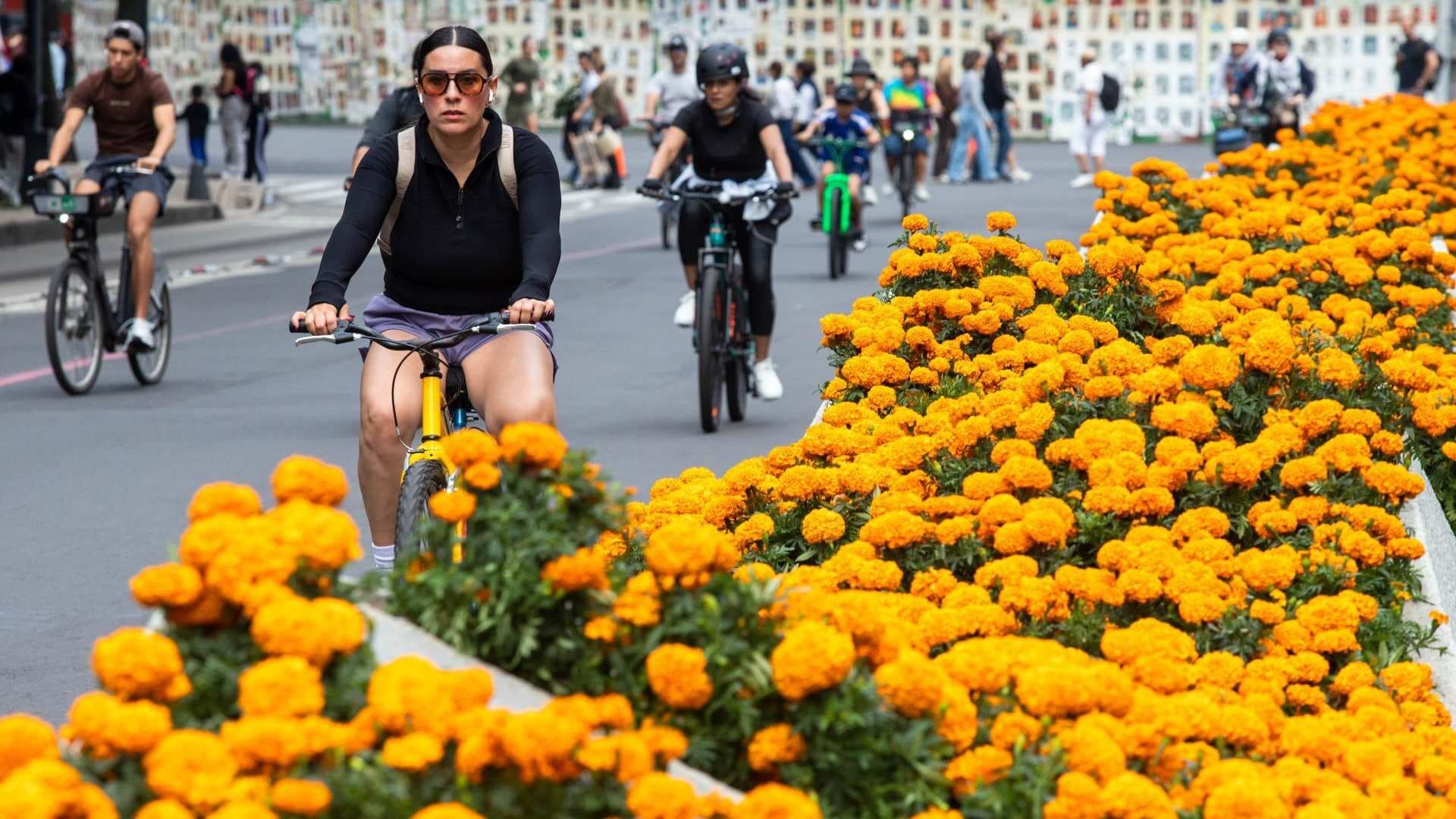 ¿Cuándo Hay Puente en Noviembre 2026? Fechas Exactas de Feriados y Descansos Obligatorios