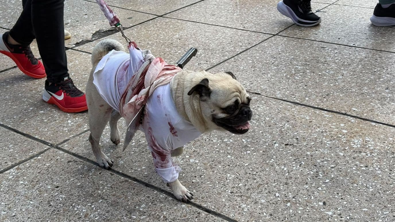 PugManía 2026 CDMX