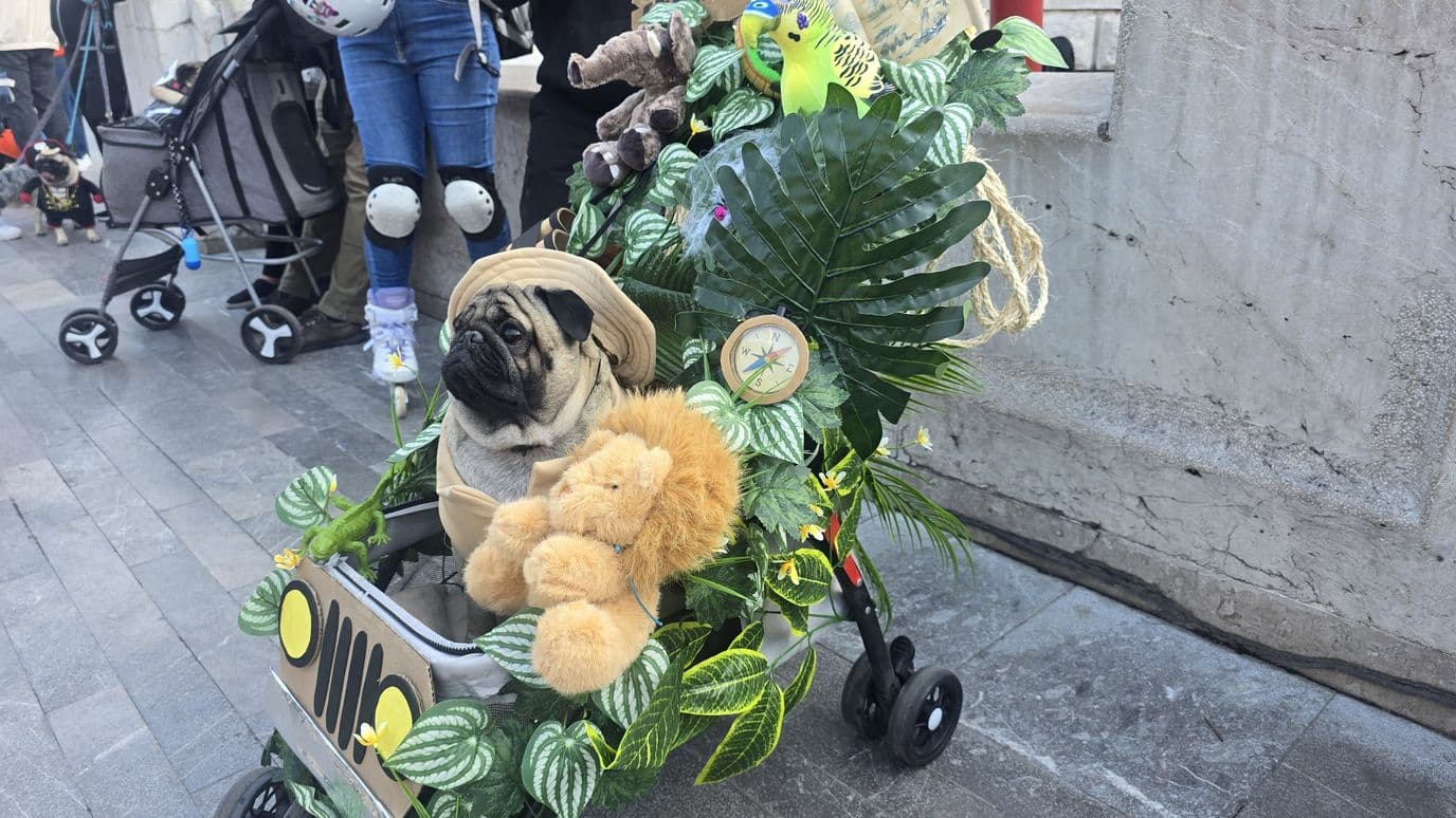 PugManía 2026 CDMX