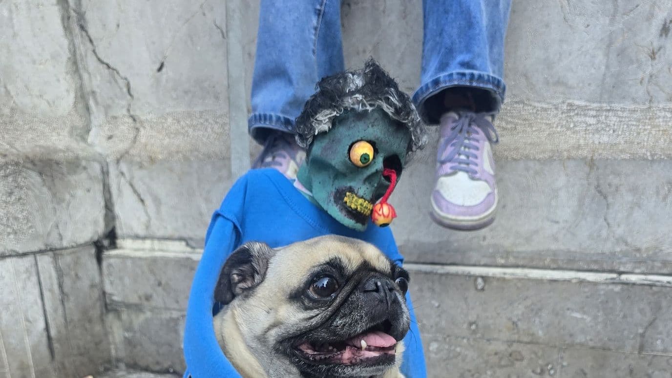 PugManía 2026 CDMX