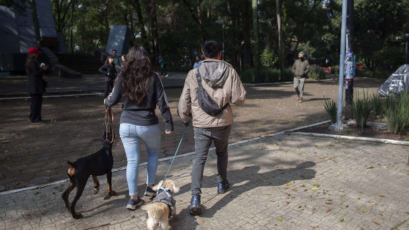 Personas paseando perros en Parque España