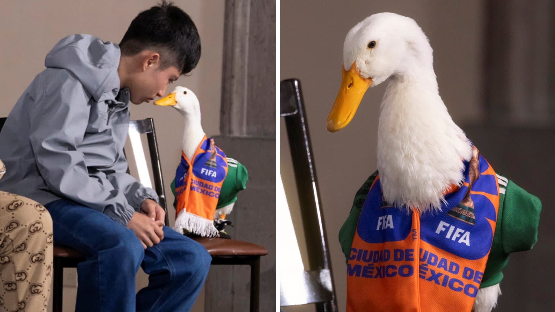 El pato Merlin, con la casaca de la selección de México, en la conferencia de prensa mañanera en Palacio Nacional. Foto: Presidencia de la República