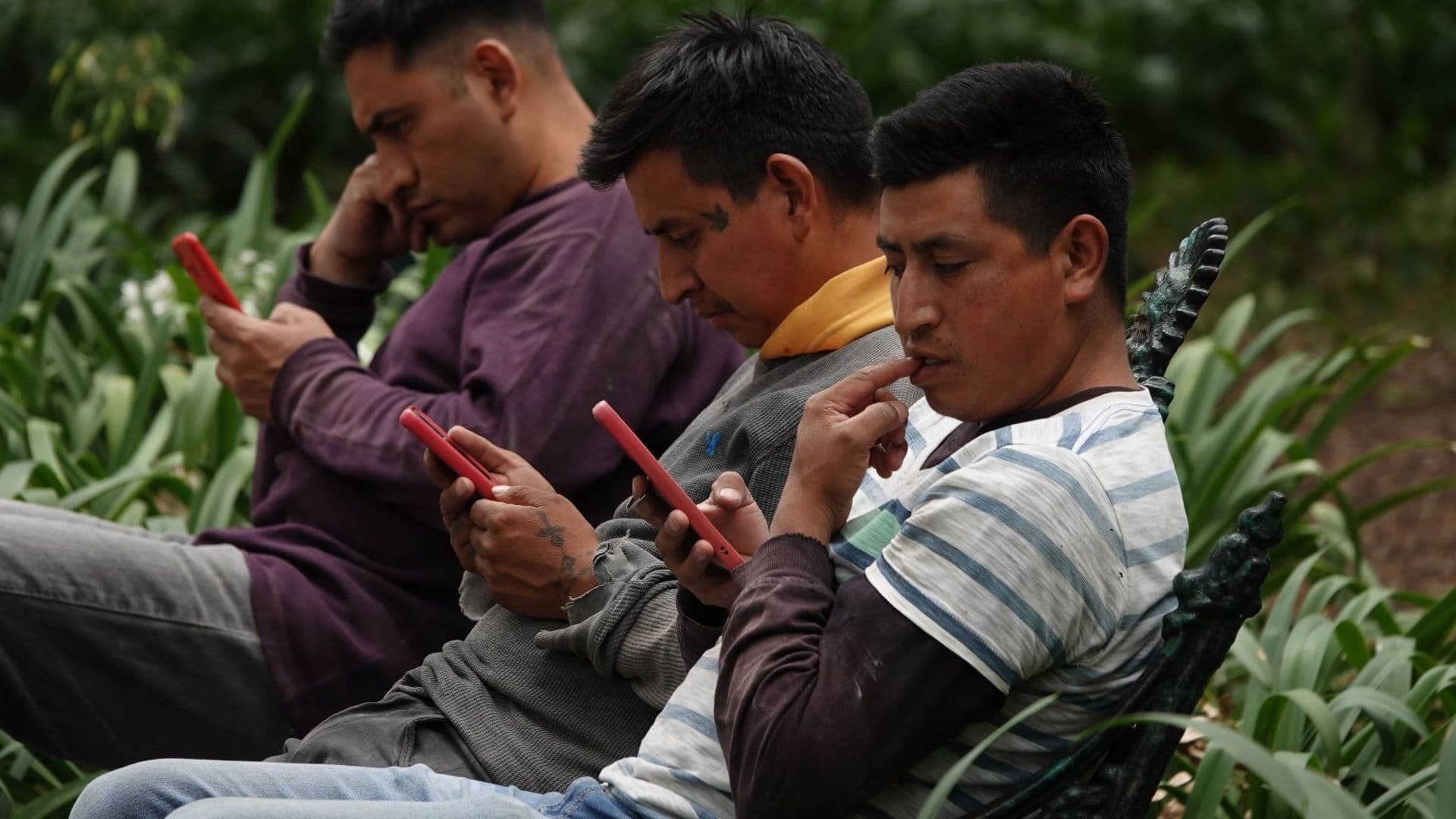 Registro de teléfono celular