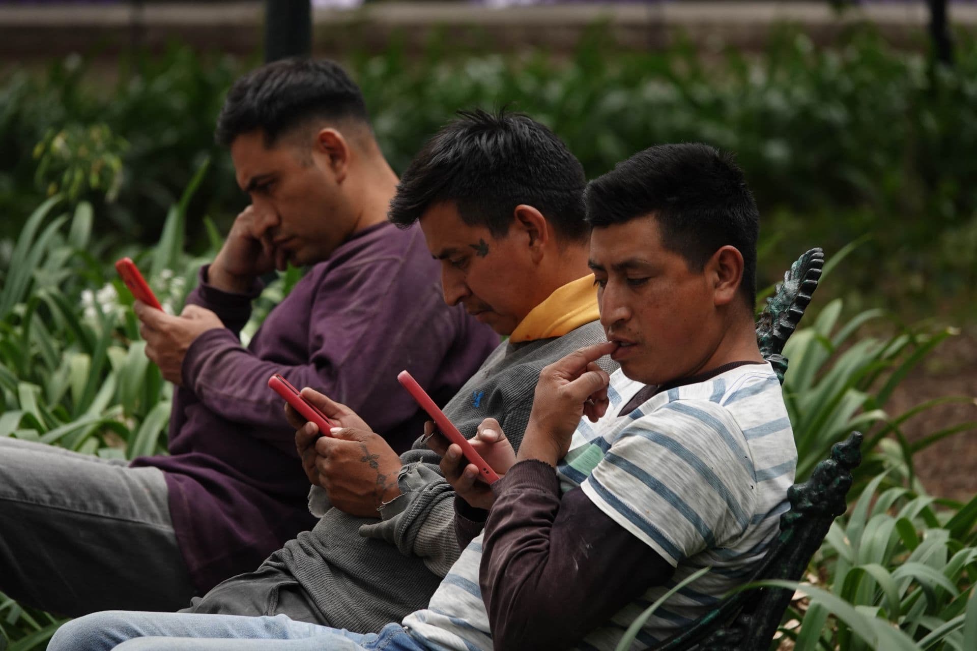 Registro de teléfono celular