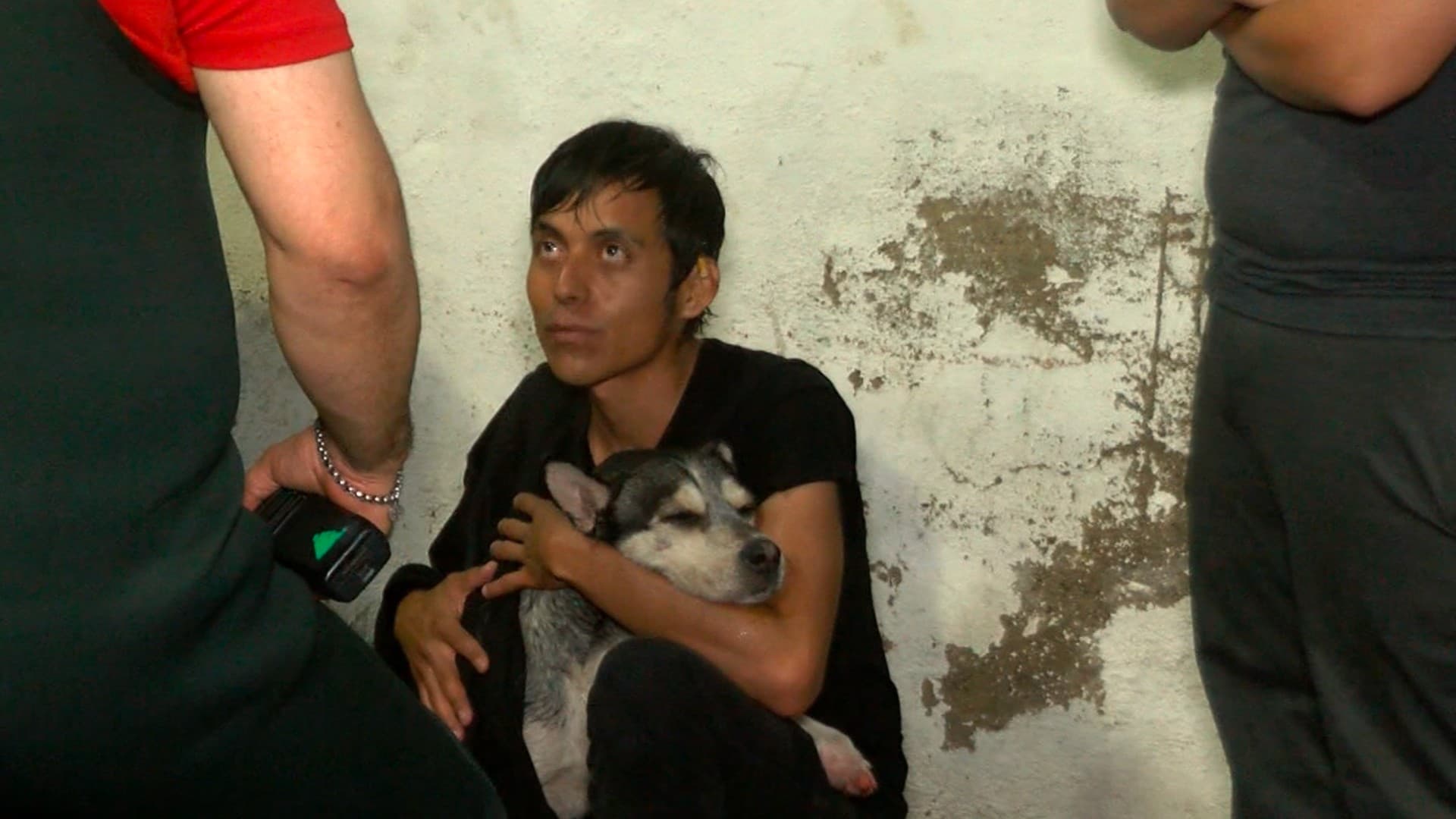 Perro y joven rescatados
