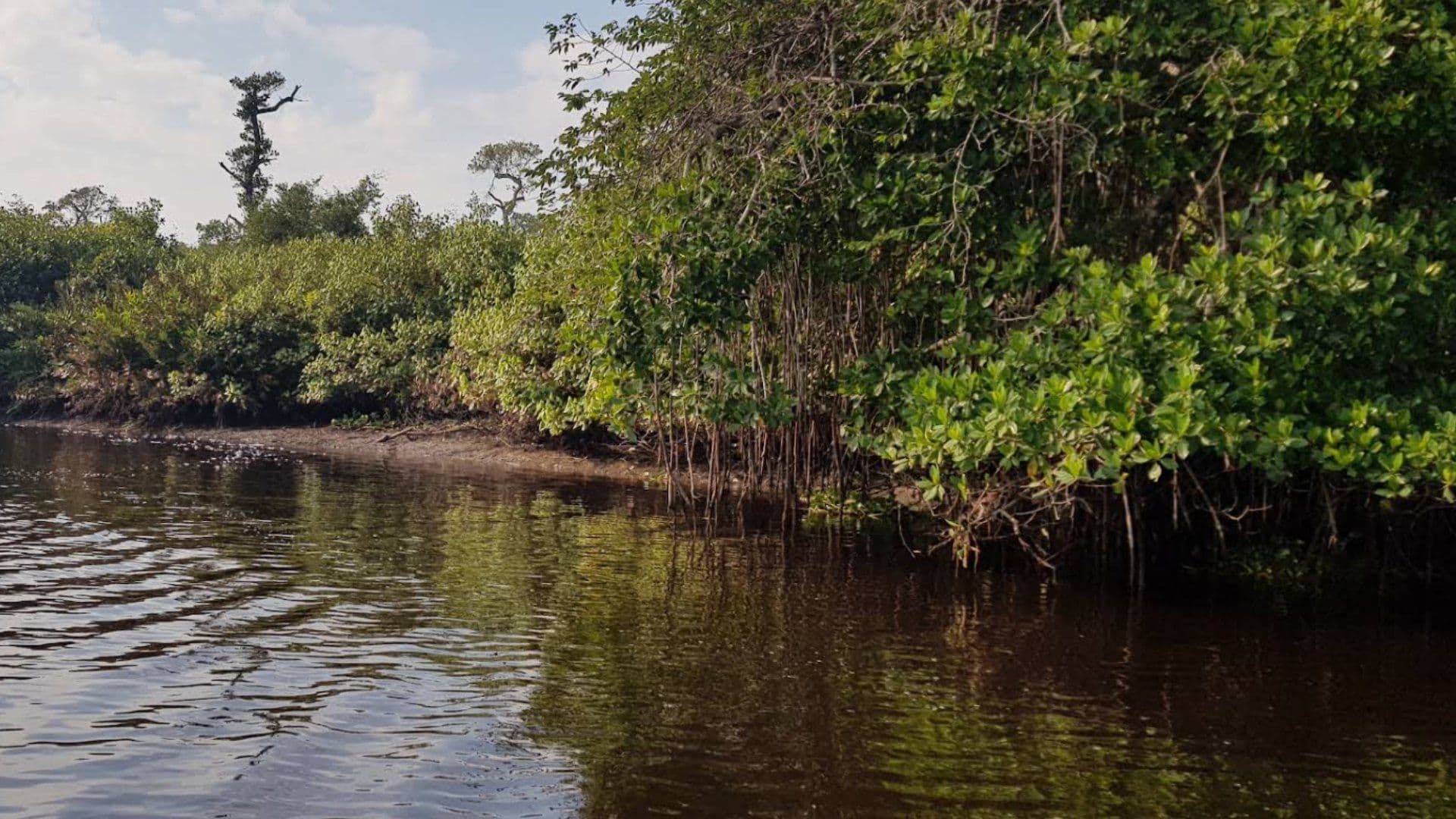 Muere ahogado en río Tecolutla