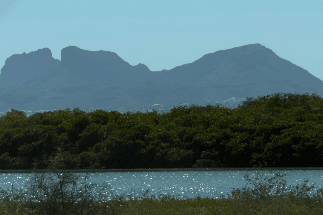 San Carlos: El Pueblo Mágico de Sonora que Mira al Mar de Cortés