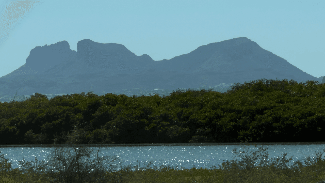 San Carlos, Pueblo Mágico Sonorense Frente al Mar de Cortés
