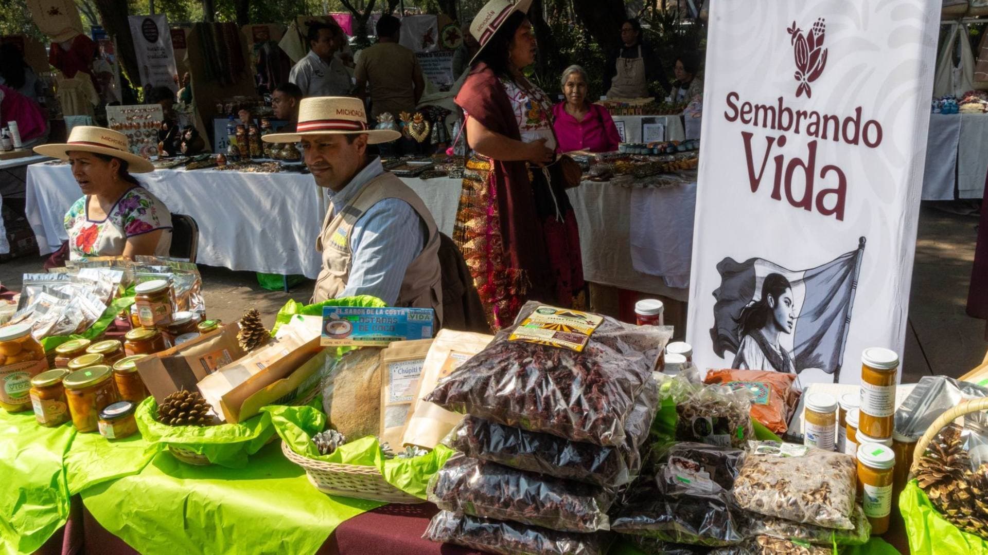 Beneficiarios de Sembrando Vida. Cuándo cae pago sembrando vida Julio 2026