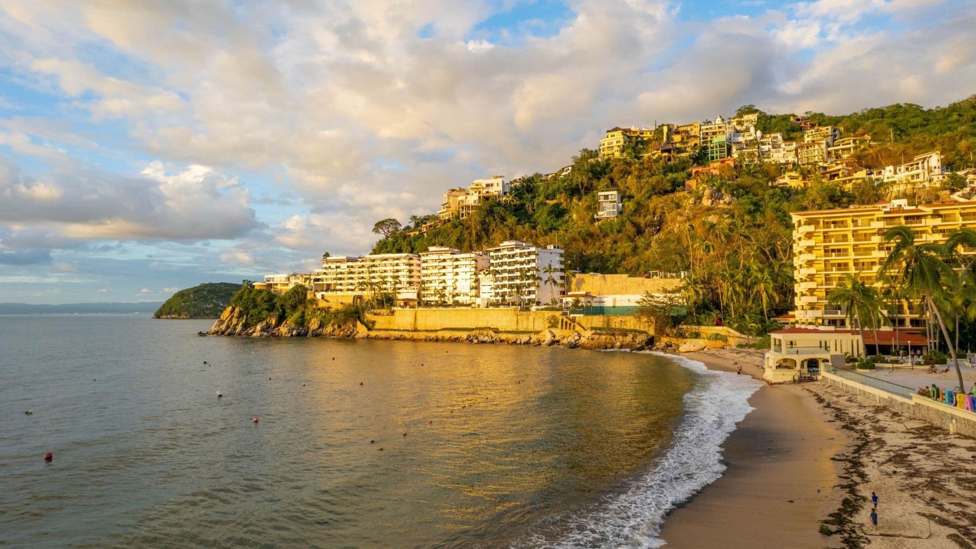 Así Puedes Saber Si Hay Cocodrilo en Mar según las banderas