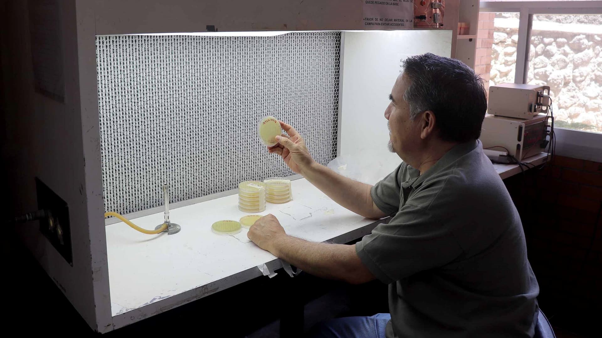 Estudio de la UNAM por súper bacteria