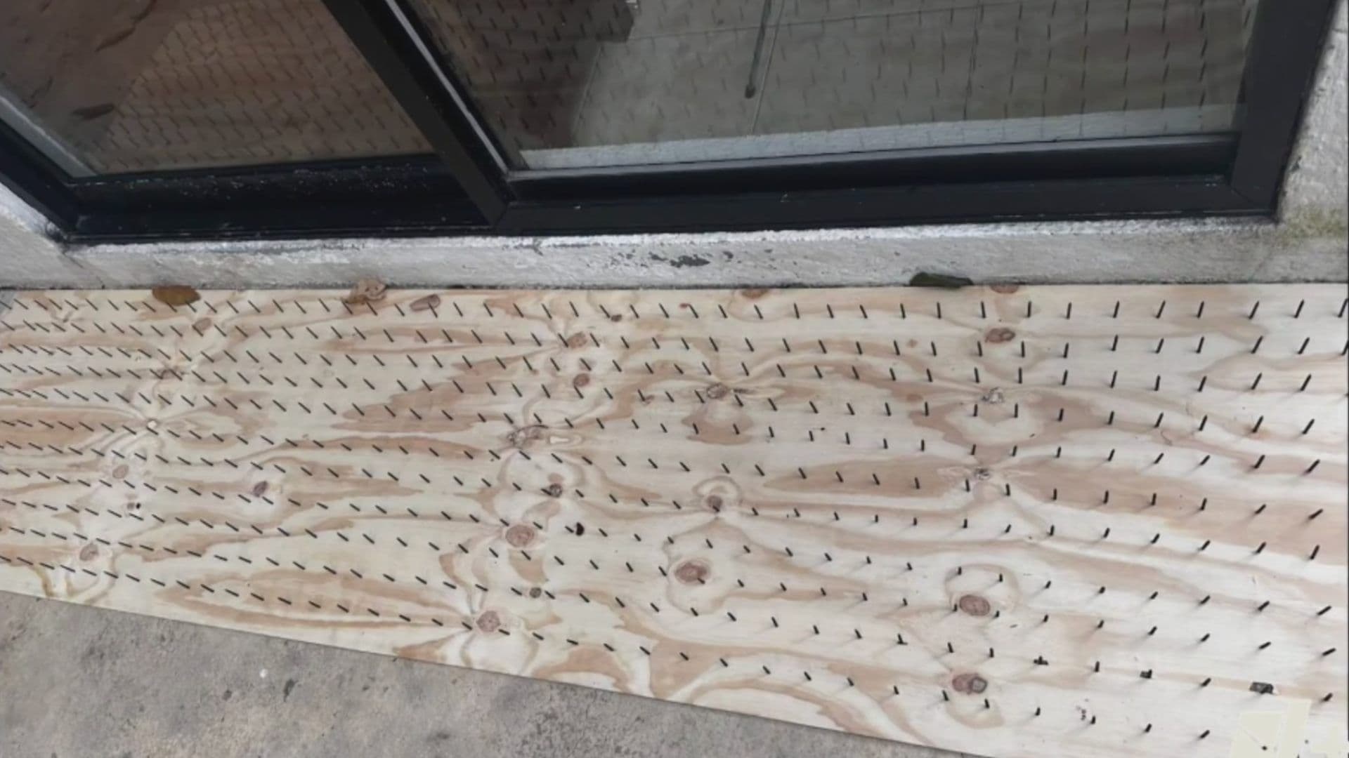 Colocan tablas con clavos contra osos en colonia Olinalá