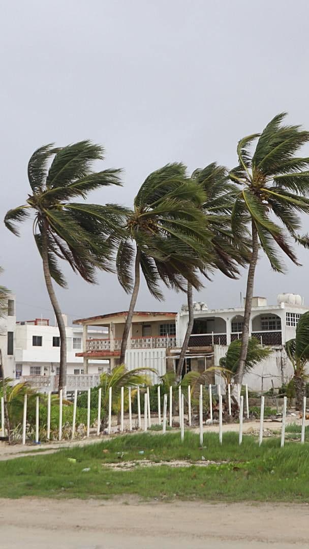 Viento en Yucatán en julio 2024 ante el paso de la tormenta tropical Beryl. Foto: Cuartoscuro | Archivo