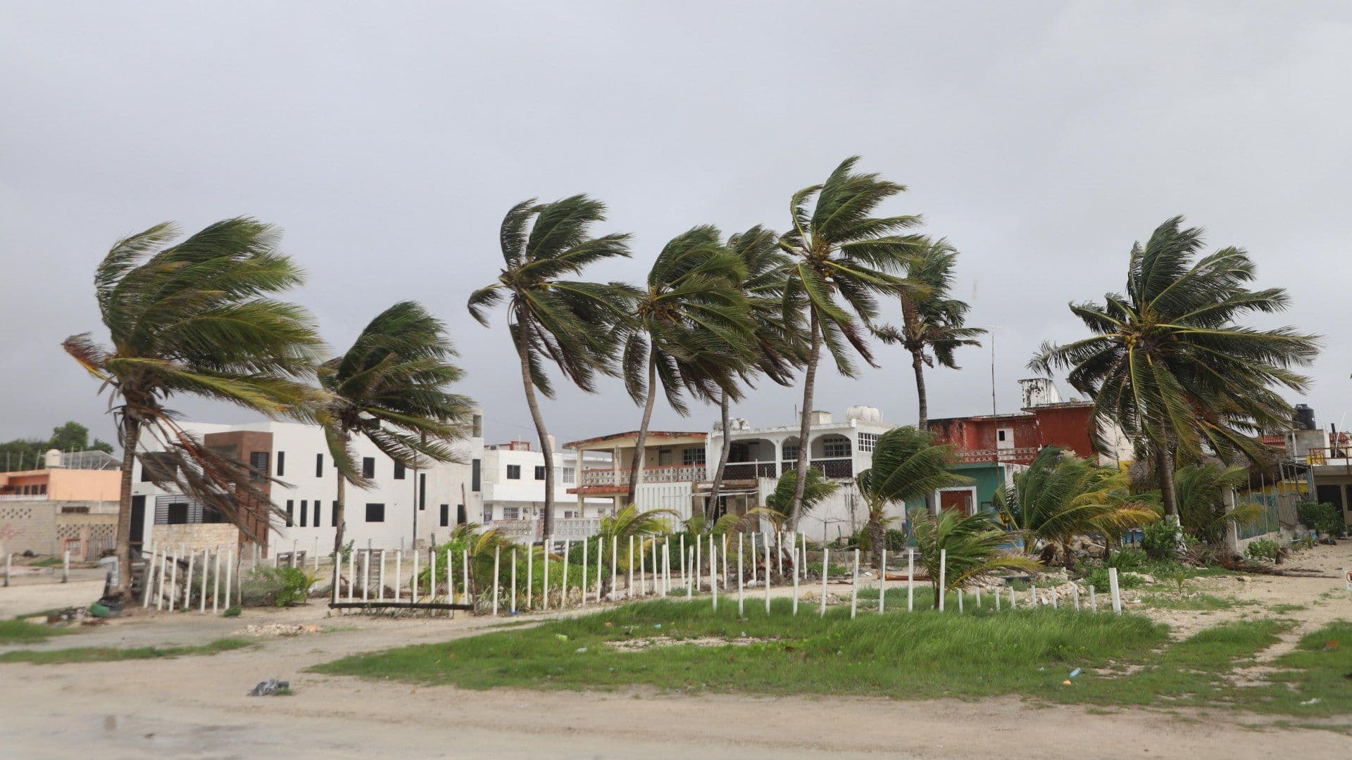 Viento generado en la Península de Yucatán por el ciclón Beryl en julio 2024. Foto: Cuartoscuro | Archivo