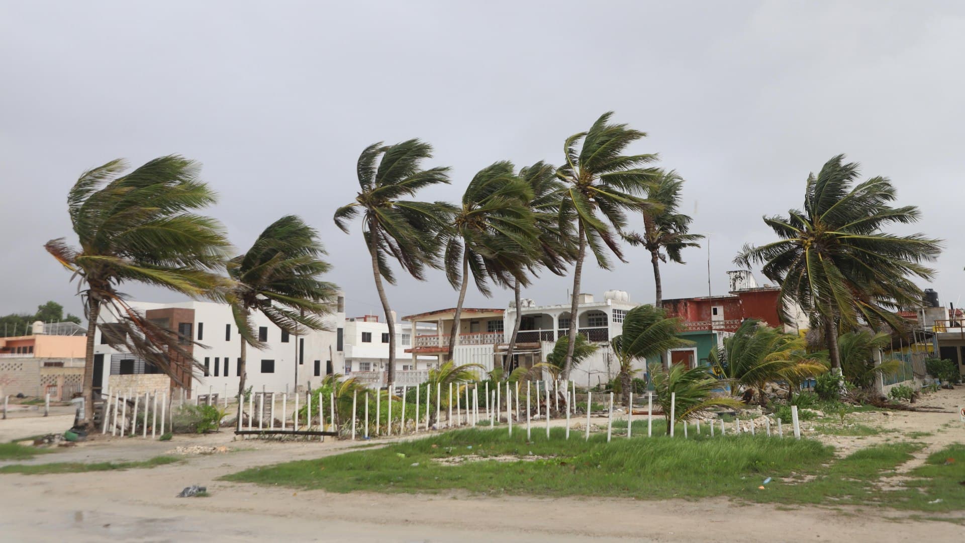 Viento generado en la Península de Yucatán por el ciclón Beryl en julio 2024. Foto: Cuartoscuro | Archivo